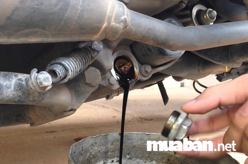 Khi bảo dưỡng xe Vespa cũ thêm một điều bạn nên lưu ý nữa đó chính là cần kiểm tra xăng, nhớt xe qua hệ thống đèn báo.