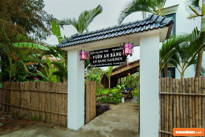 An Bàng homestay