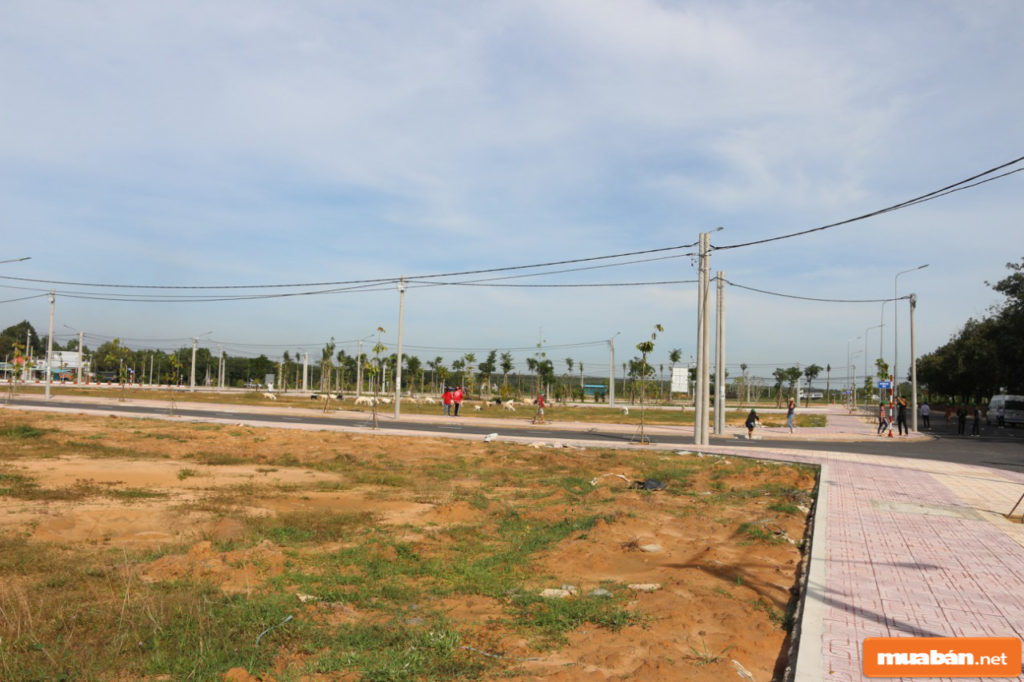 8 Loại Hình Bất Động Sản Mà Nhà Đầu Tư Nào Cũng Phải Biết (Kỳ 1) 7 Đất Nền