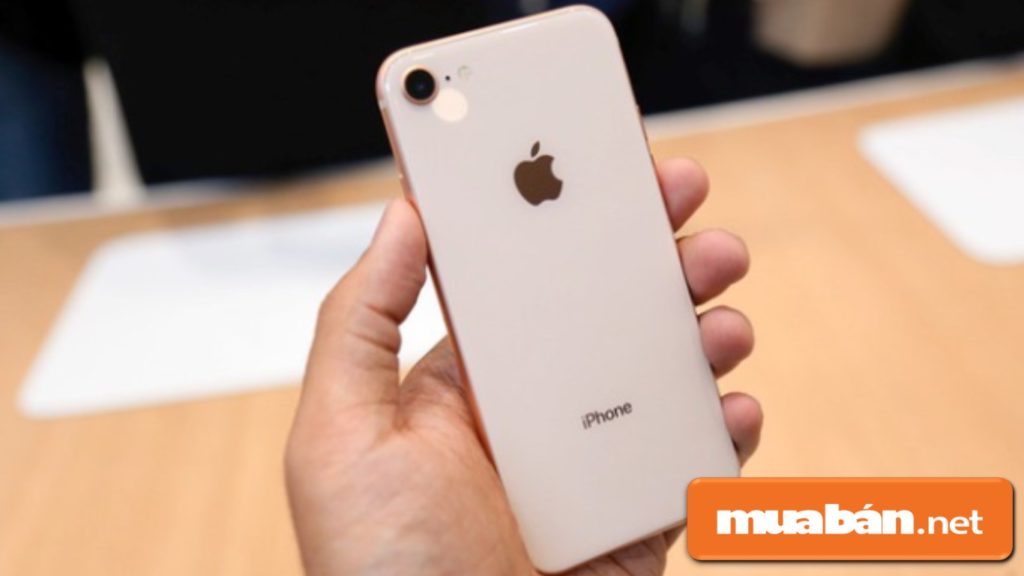 Iphone 8 Về Việt Nam – Tại Sao Lại Thất Thế? 4 Camera Sau Nhìn Tổng Thể Không Có Gì Nổi Bật So Với Iphone 7.