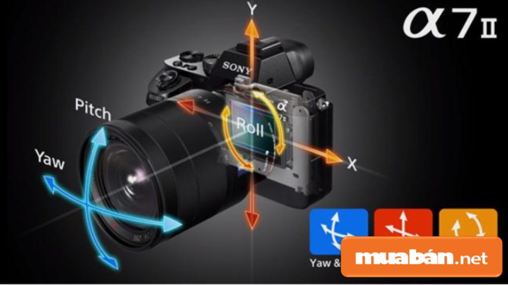 Những Tiêu Chí Giúp Bạn Chọn Mua Máy Ảnh Phù Hợp 6 Khả Năng Chống Rung Giúp Hình Chụp Trong Lúc Di Chuyển Vẫn Giữ Được Chất Lượng Hình Ảnh Ổn Định.