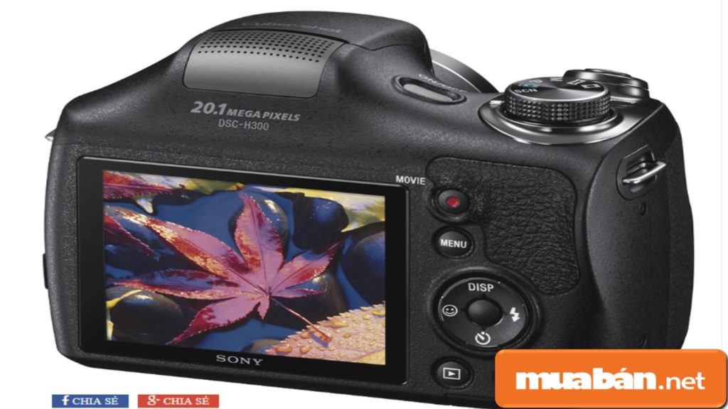 Màn hình Sony Cybershot DSC H300 chụp hình ảnh khá sắc nét.