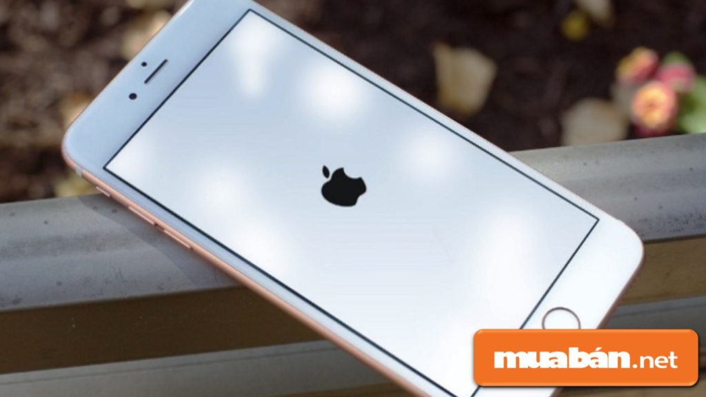 Iphone 8 Về Việt Nam – Tại Sao Lại Thất Thế? 7 Iphone 8 Chạy Hệ Điều Hành Ios 11 Nhưng Không Ổn Định, Nên Phải Cập Nhật Phiên Bản Mới Hơn Nếu Có.