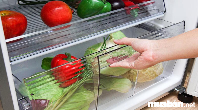 Mách bạn cách bảo quản rau trong tủ lạnh được tươi ngon lâu hơn