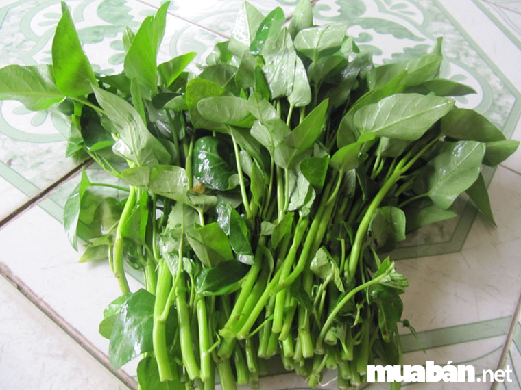 Mách bạn cách bảo quản rau trong tủ lạnh được tươi ngon lâu hơn