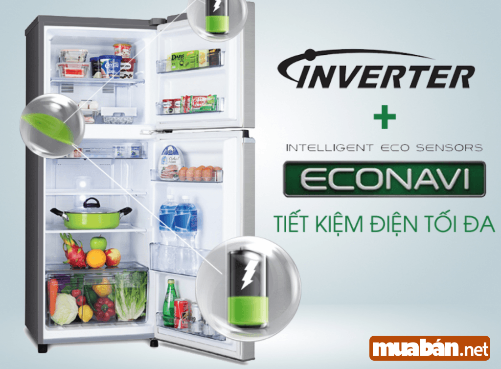 Nắm Chắc 6 Lưu Ý Dưới Đây Giúp Bạn Chọn Đúng Tủ Lạnh Tiết Kiệm Điện Phù Hợp Với Gia Đình 2 6 Nguyen Tac Giup Ban Chon Dung Tu Lanh Tiet Kiem Dien Phu Hop Voi Gia Dinh 5