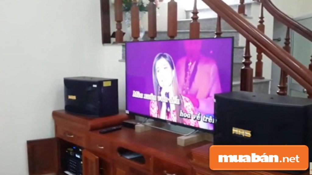 Bạn nên mua loa chuyên dụng dành cho karaoke với công suất phù hợp với không gian phòng.