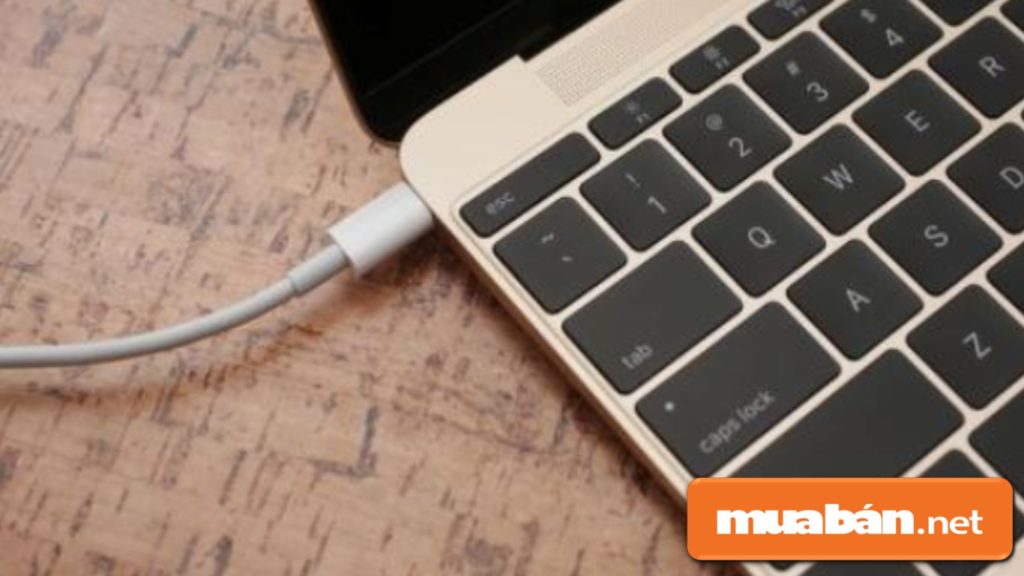 Nên Làm Gì Khi Chuột Laptop Bị Đơ??? 2 Nguyên Nhân Từ Lỗi Phần Cứng Khiến Chuột Laptop Của Bạn Bị Đơ: Adapter Laptop Bị Lỗi Nào Đó, Pad Mouse Quá Cũ...