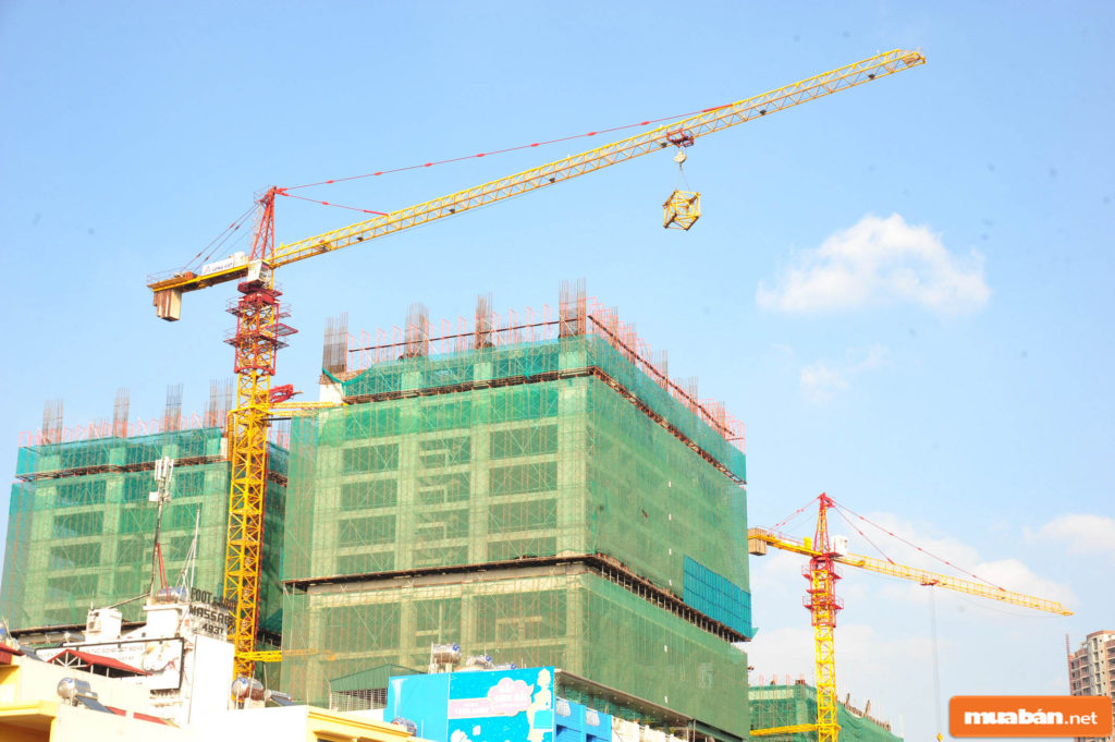 5 Điều Cần Biết Về Nghề Lái Cẩu Tháp 3 Cau2