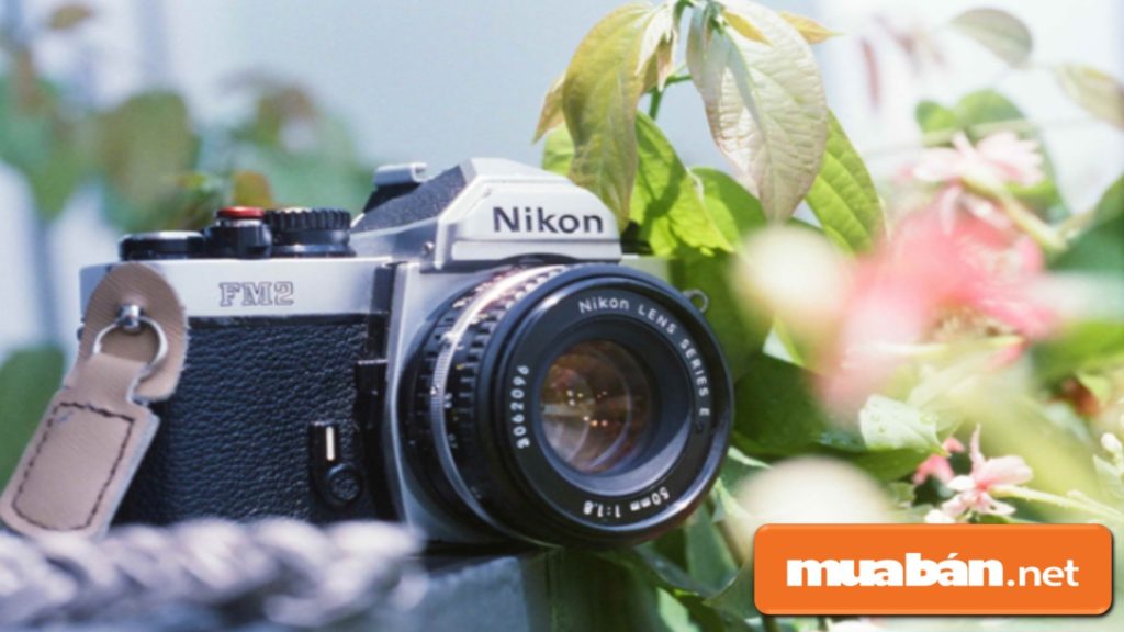 "Ngoại hình" của máy ảnh phim thường không được nhỏ gọn như máy ảnh kỹ thuật số.