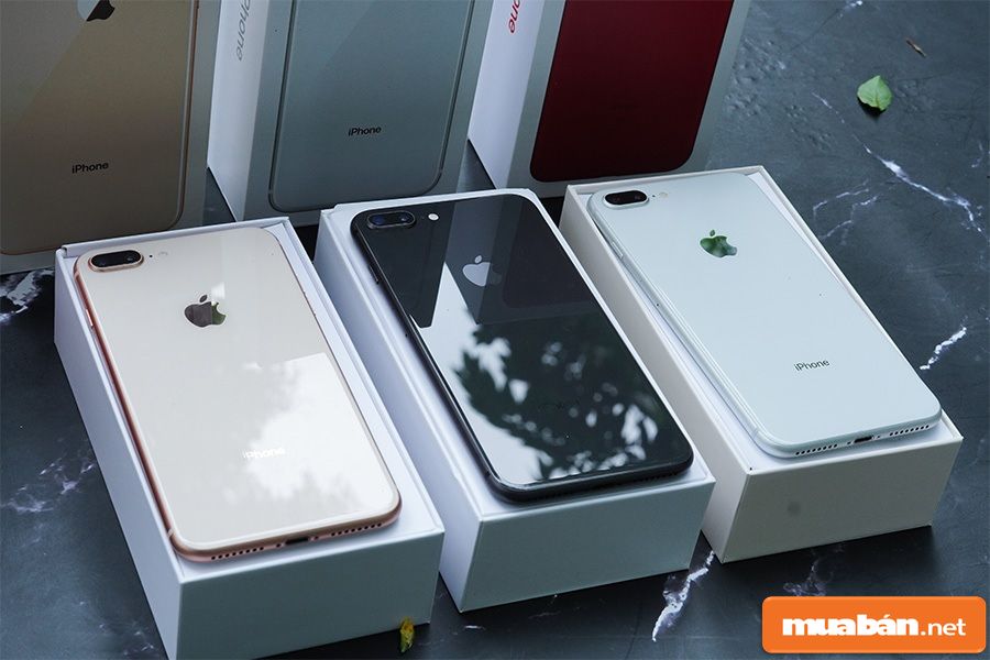Mua Iphone 8 Cũ Cần Lưu Ý Gì? 10 Mua Iphone 8