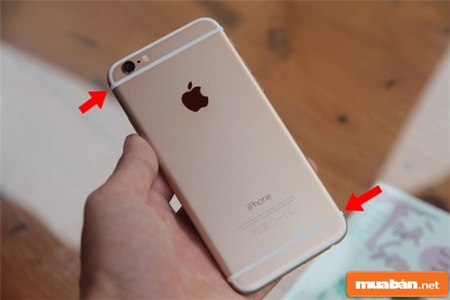 Mua Iphone 8 Cũ Cần Lưu Ý Gì? 16 Mua Iphone 8