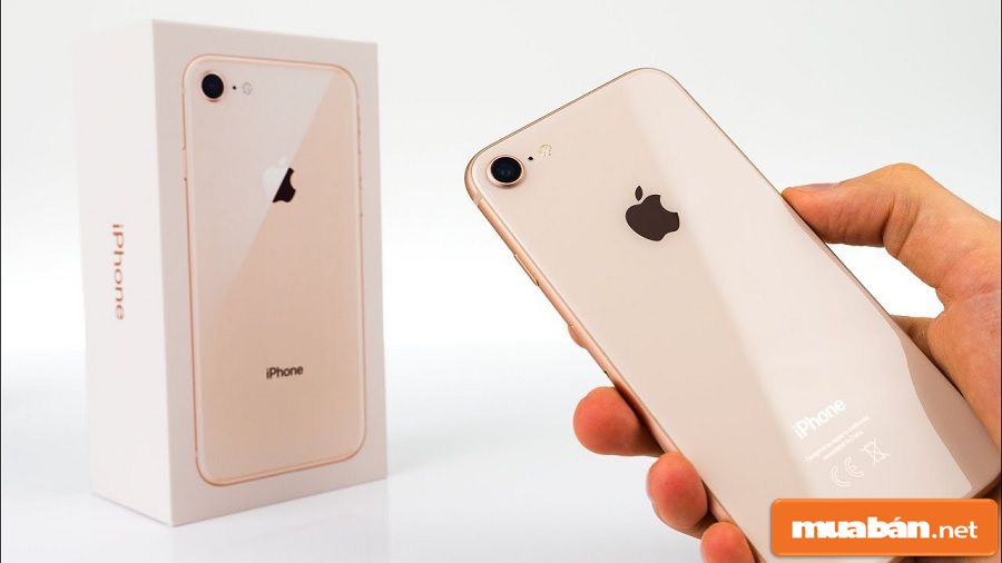 Mua Iphone 8 Cũ Cần Lưu Ý Gì? 3 Mua Iphone 8