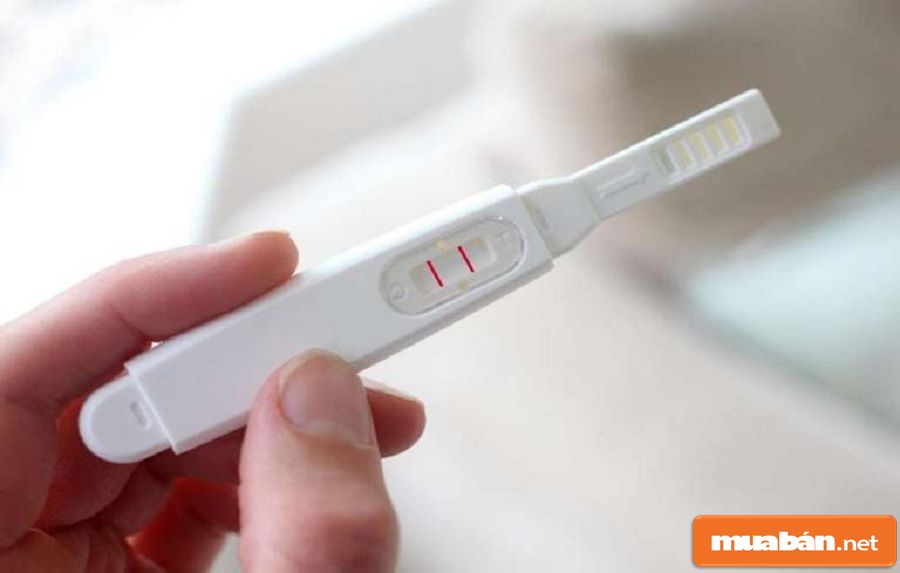 Que thử rụng trứng giúp bạn biết được thời điểm rụng trứng, tăng cơ hội thụ thai.