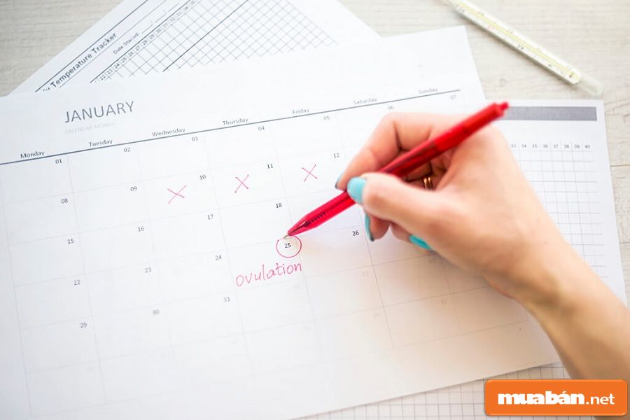 Que thử rụng trứng là để phát hiện ra ngày rụng trứng, tăng cơ hội thụ thai.