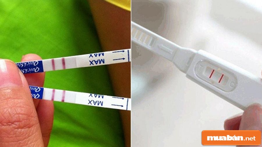 Que thử thai