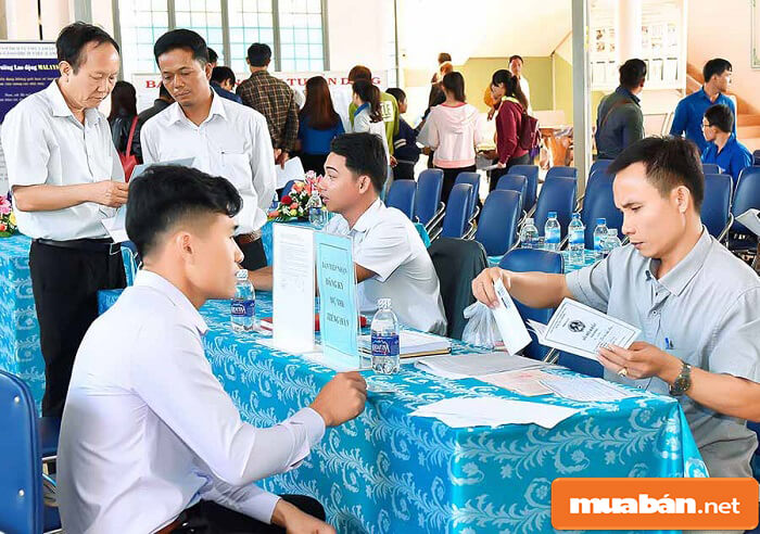 Tìm việc làm cuối năm