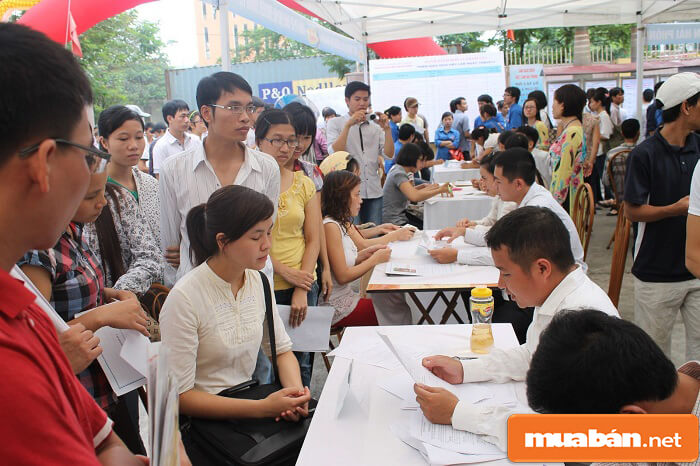 Tìm việc làm cuối năm