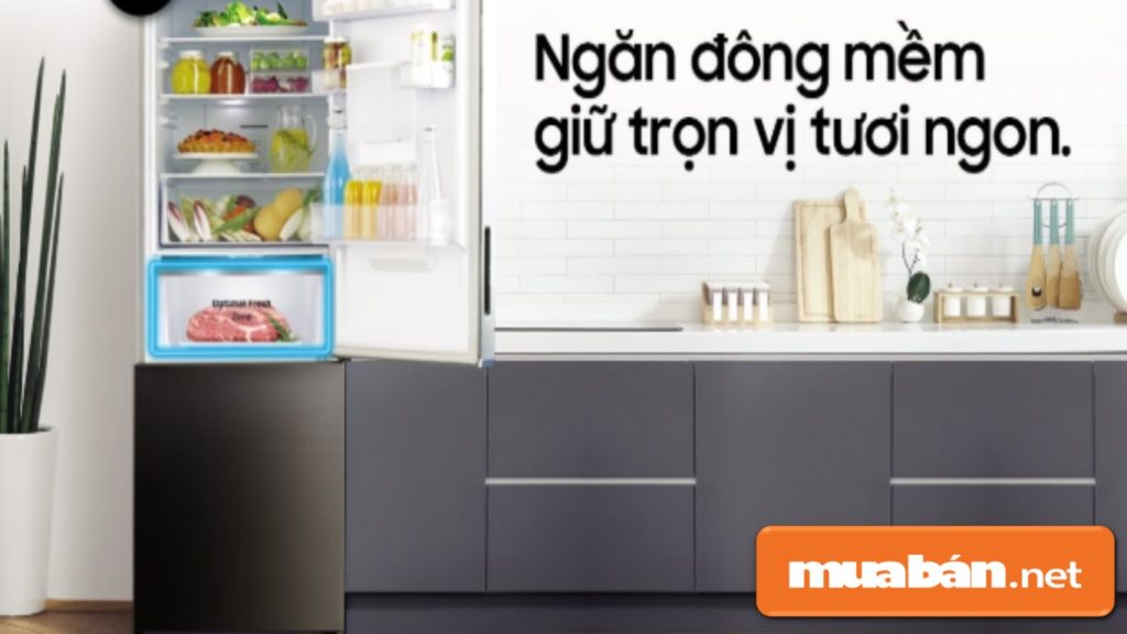 Top 3 Lý Do Hấp Dẫn Nhất Để Bạn Chọn Mua Tủ Lạnh Ngăn Đá Dưới! 6 Tủ Lạnh Ngăn Đá Dưới Thường Có Ngăn Cấp Đông Mềm Giúp Giữ Thực Phẩm Tươi Lâu Mà Không Cần Rã Đông Khi Sử Dụng.
