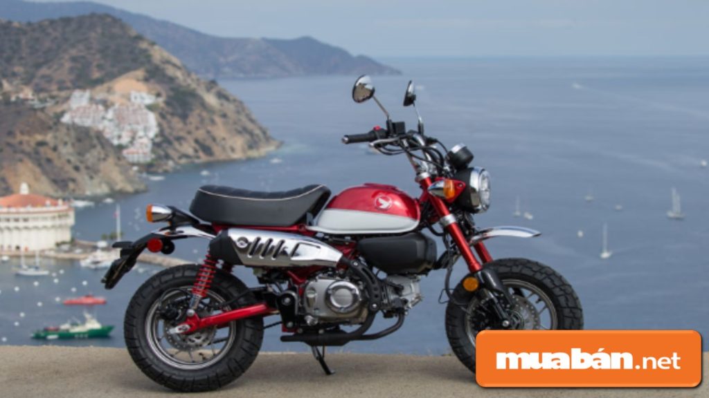 3 Xe Máy Honda Tay Côn Nhập Khẩu Dưới 100 Triệu Hấp Dẫn Nhất Hiện Nay! 2 Xe Máy Honda Monkey 125 Được Nhập Khẩu Nguyên Chiếc Từ Thái Lan.