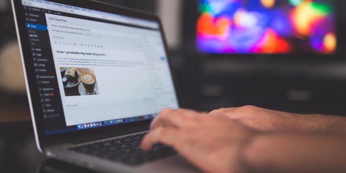 Top 5 Việc Làm Online Giúp Bạn Dễ Trở Thành Triệu Phú 5 Blogger