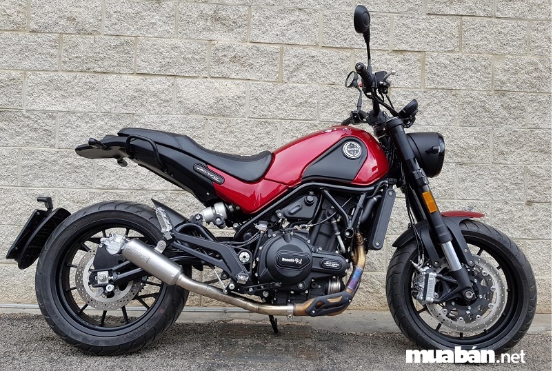 Benelli Leoncino 500