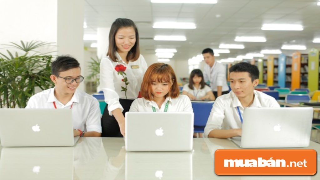 Các trường đào tạo hàng đầu như ĐH Bách Khoa, ĐH CNTT, ĐH KHTN (thuộc Đại học Quốc gia TP.HCM)