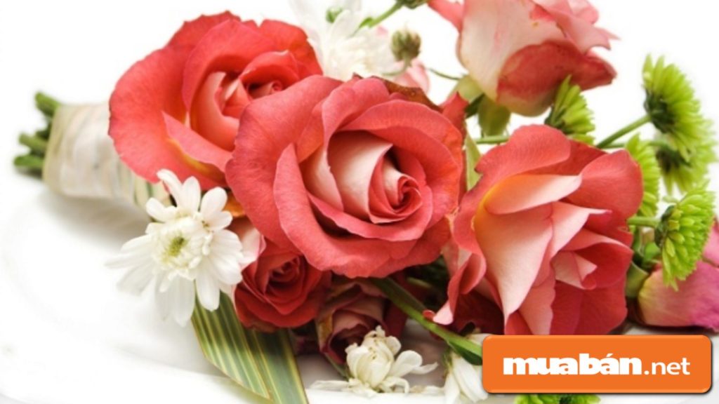 Top 5 Quà Tặng Bạn Gái Ngày 8 Tháng 3 Lãng Mạn Nhất! 1 Hoa Hồng Có Thể Tặng Từng Cành, Hoặc Kết Hợp Với Các Loại Hoa Khác Thành Bó Hoa Đẹp Lãng Mạn.
