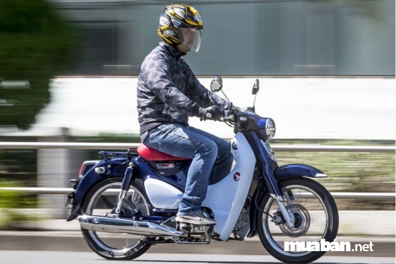 5 Lý Do Bạn Nên Mua Ngay 1 Chiếc Xe Honda Cub 5 Honda Cub