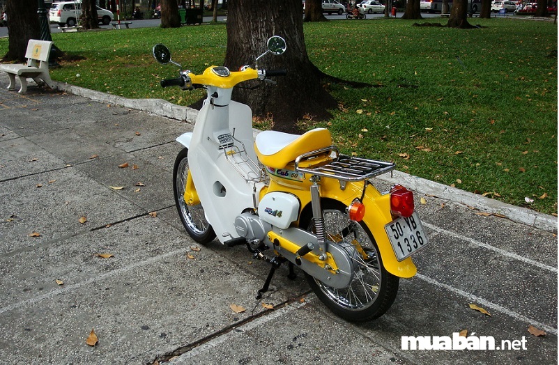 5 Lý Do Bạn Nên Mua Ngay 1 Chiếc Xe Honda Cub 6 Honda Cub
