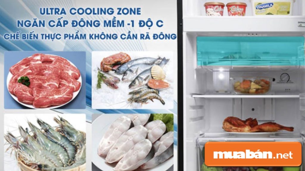Top 3 Hãng Tủ Lạnh Tốt Nhất Để Chọn Mua Cho Gia Đình! 5 Toshiba Còn Được Thiết Kế Ngăn Cấp Đông Mềm Giúp Chế Biến Thức Ăn Mà Không Cần Phải Rã Đông.