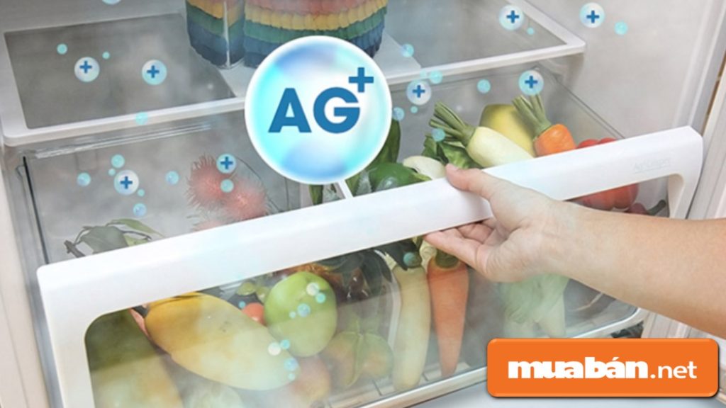 Top 3 Hãng Tủ Lạnh Tốt Nhất Để Chọn Mua Cho Gia Đình! 4 Công Nghệ Khử Mùi Hybrid Bio Của Toshiba Giúp Khử Mùi Và Kháng Khuẩn Tốt.