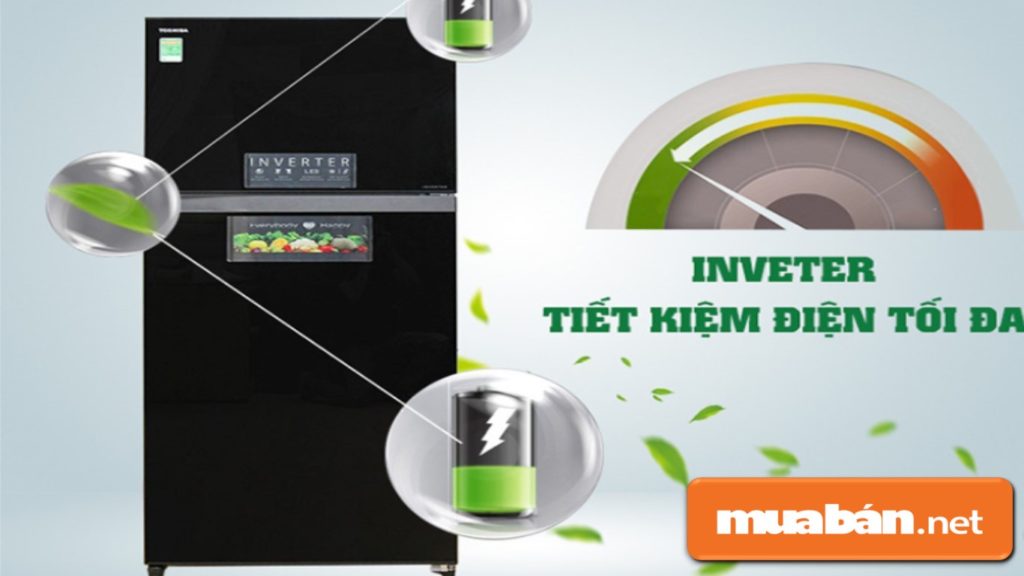 Top 3 Hãng Tủ Lạnh Tốt Nhất Để Chọn Mua Cho Gia Đình! 3 Tủ Lạnh Toshiba Được Hỗ Trợ Tiết Kiệm Điện Năng Inverter.