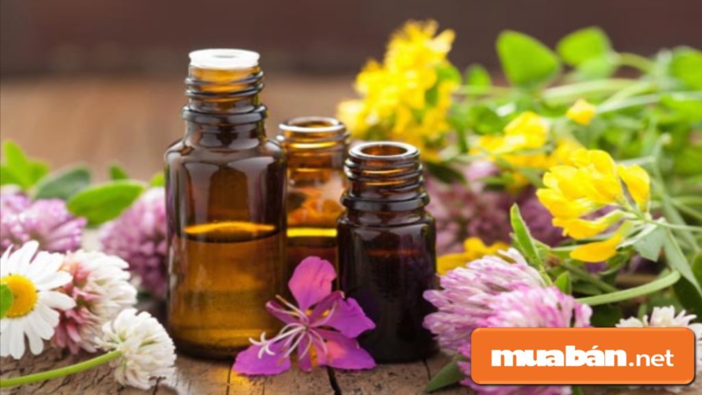 Top 5 Quà Tặng Bạn Gái Ngày 8 Tháng 3 Lãng Mạn Nhất! 8 Nước Hoa Luôn Là Một Món Quà Rất Có Sức Hấp Dẫn Đối Với Giới Nữ.