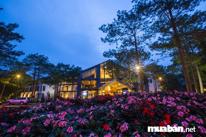 Terracotta Hotel & Resort Dalat