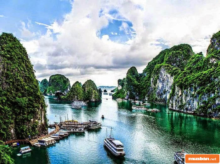 Top 5 Khu Vực Có Bds Nghỉ Dưỡng Thu Hút Nhất 5 Bds Nghỉ Dưỡng