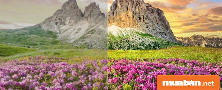 Oled Sony 55A9F có với hình ảnh sắc nét, sống động và khá thực tế.