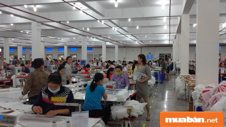 Quản lý sản xuất là người phải có kỹ năng lên lịch trình sản xuất cụ thể và khoa học nhất.