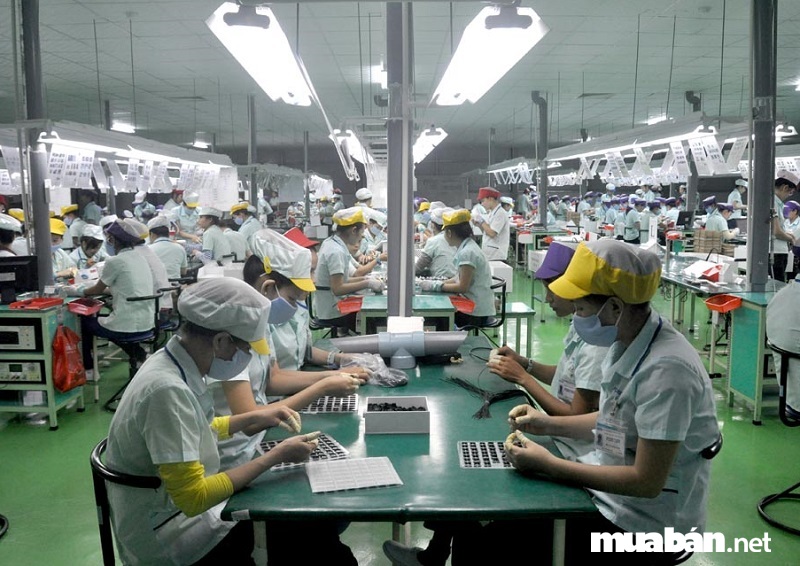 Top 5 Việc Làm Lao Động Phổ Thông Quận 9 Lương Cao Nhất 2 Công Nhân Sản Xuất