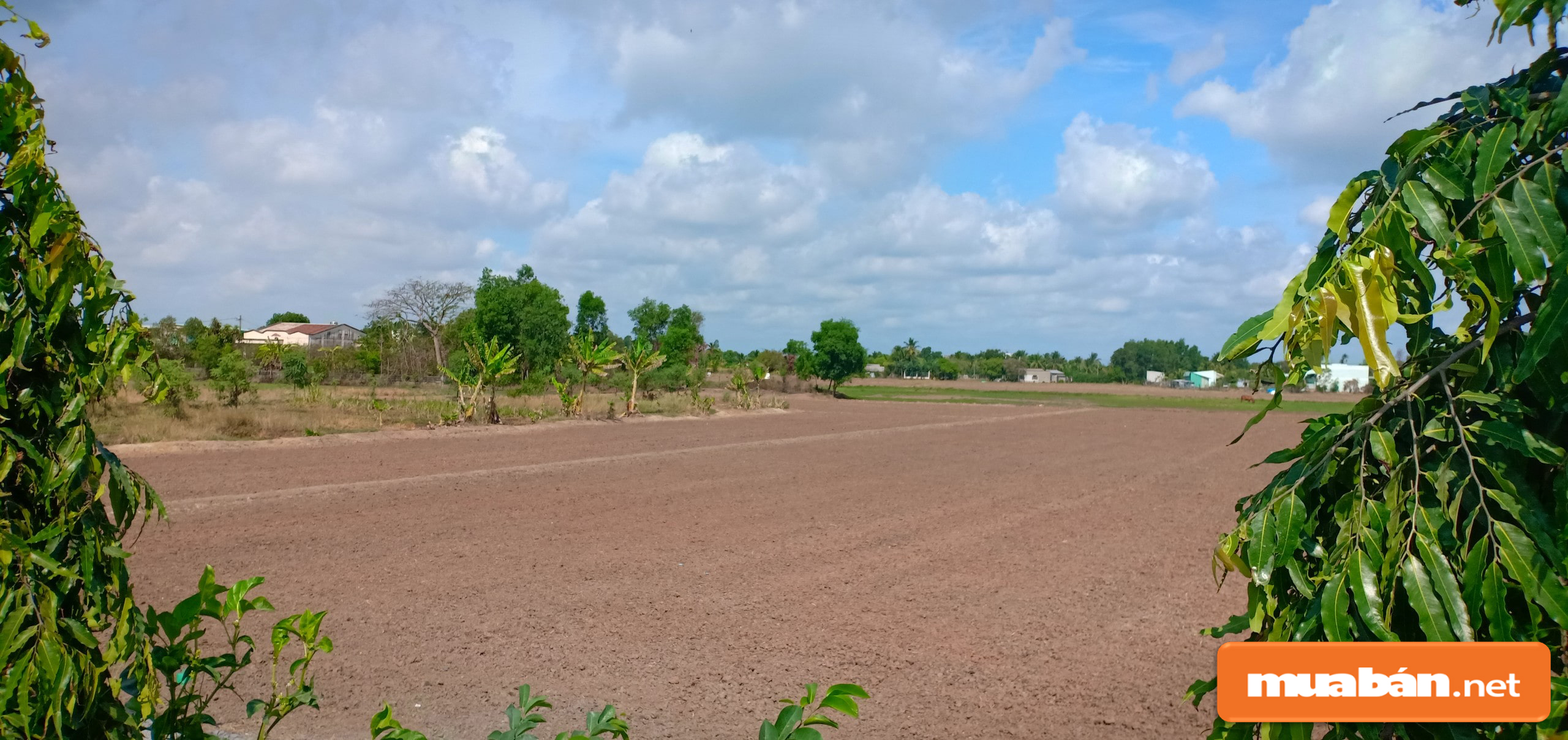 Bán Đất Bình Chánh Và Những Điều Cần Biết 4 Bán Đất Bình Chánh