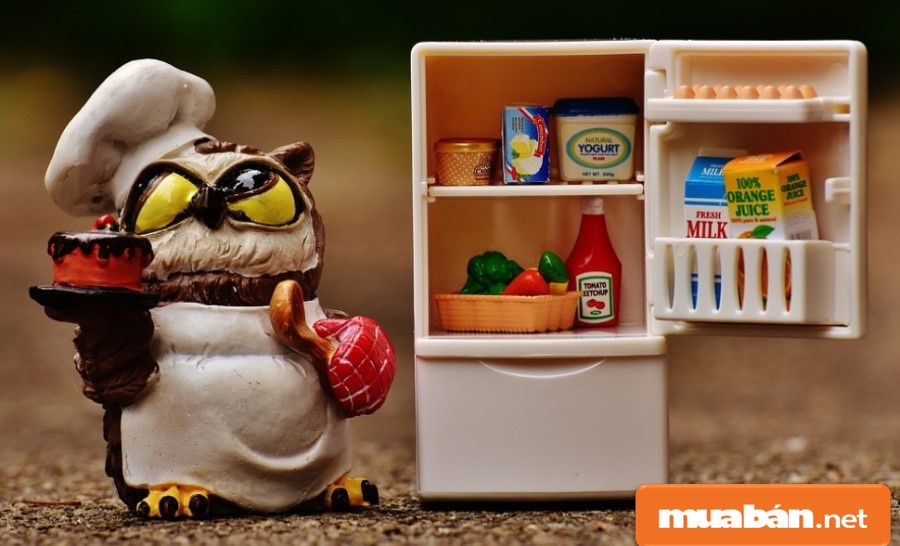 Việc bạn chọn mua những sản phẩm có mẫu mã cũ sẽ giúp bạn tiết kiệm chi phí, có thêm nhiều ưu đãi hơn.