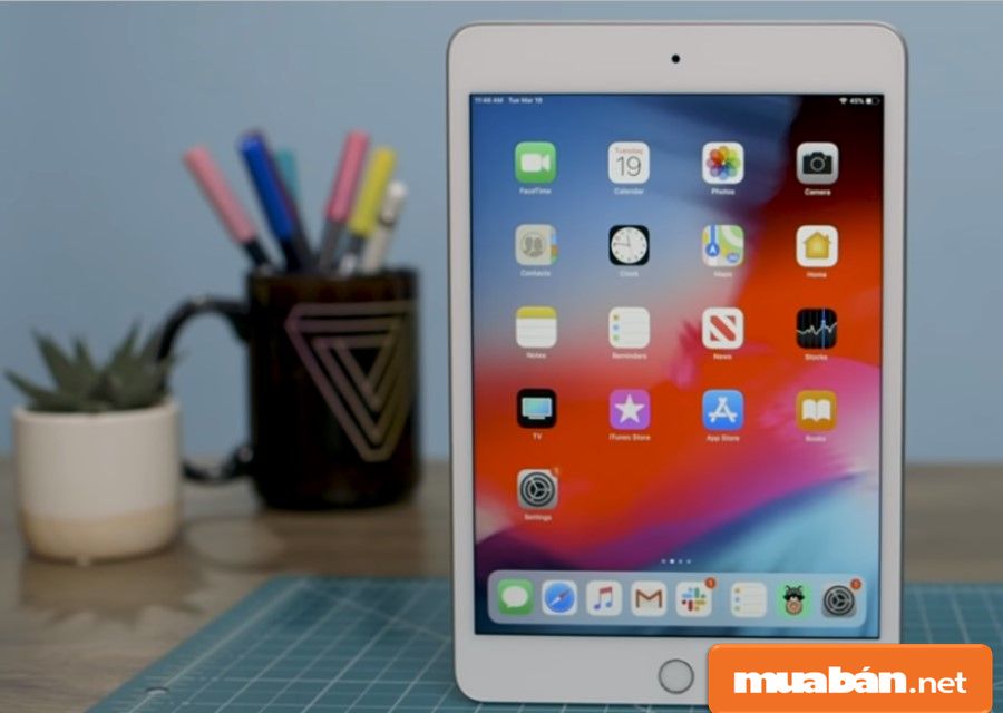 Ipad Mini 4 Và Ipad Mini 2019 – Bạn Chọn Cái Nào? 9 Ipad Mini 4
