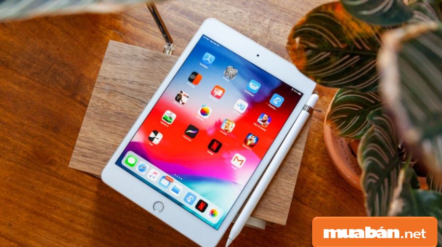 Ipad Mini 4 Và Ipad Mini 2019 – Bạn Chọn Cái Nào? 8 Ipad Mini 4