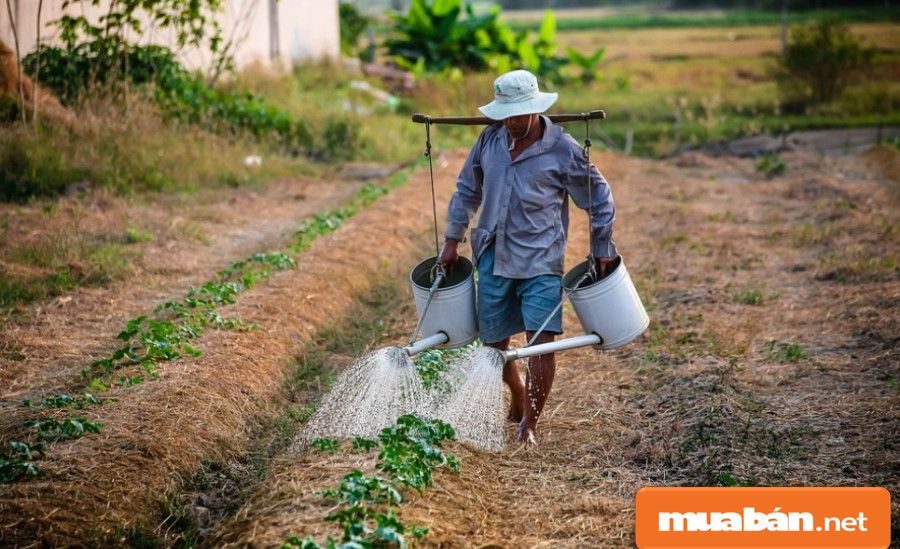 Việc Làm Quảng Nam - Hướng Đi Nào Để Phát Triển? 1 Việc Làm Quảng Nam