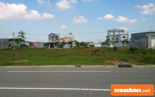 Bán Đất Cà Mau Sôi Nổi Sau Khi Giá Đất Tăng Mạnh 3 Bán Đất Cà Mau