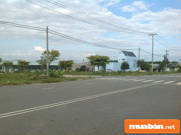 Bán Đất Cà Mau Sôi Nổi Sau Khi Giá Đất Tăng Mạnh 4 Thị Trường Sôi Động Hơn Bao Giờ Hết