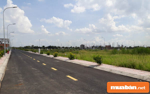 Bán Đất Cà Mau Sôi Nổi Sau Khi Giá Đất Tăng Mạnh 6 Thái Độ Của Các Nhà Đầu Tư Khá Tích Cực Và Còn Nhiều Hứa Hẹn Trong Tương Lai