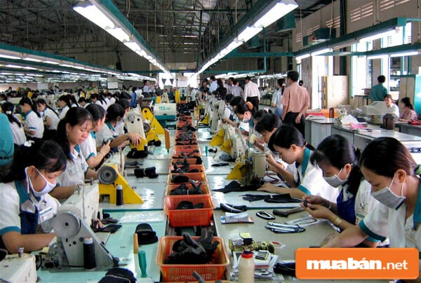 Cung Ứng Lao Động Tphcm Ngày Càng Được Người Lao Động Ưa Chuộng 3 Cung Ứng Lao Động Tphcm