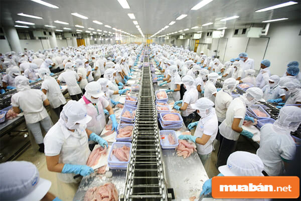 Cung Ứng Lao Động Tphcm Ngày Càng Được Người Lao Động Ưa Chuộng 5 Cung Ứng Lao Động Tphcm