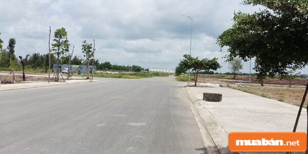 đất Củ Chi